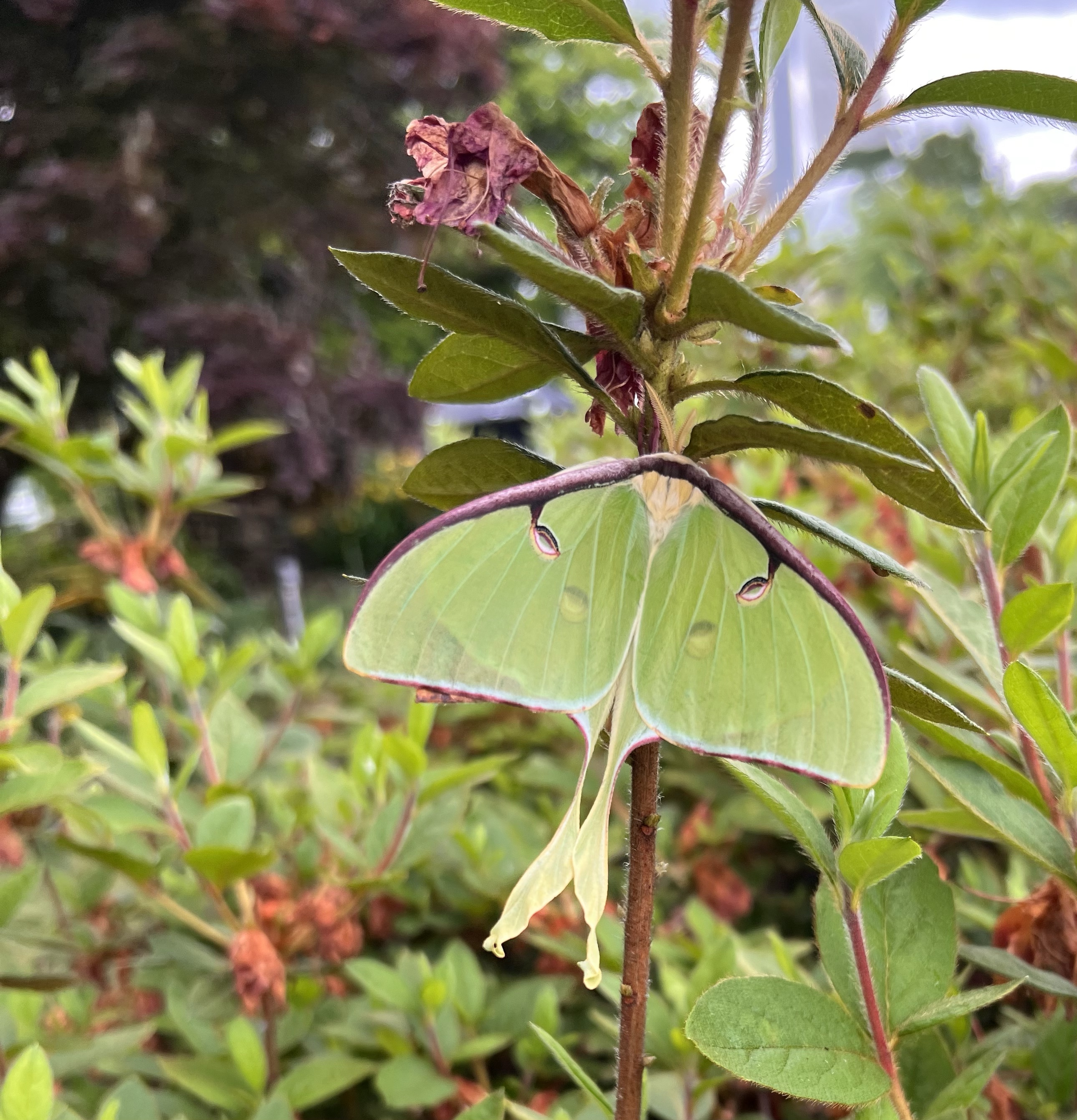 Some Gulf Coast Photos  13 May 2022
