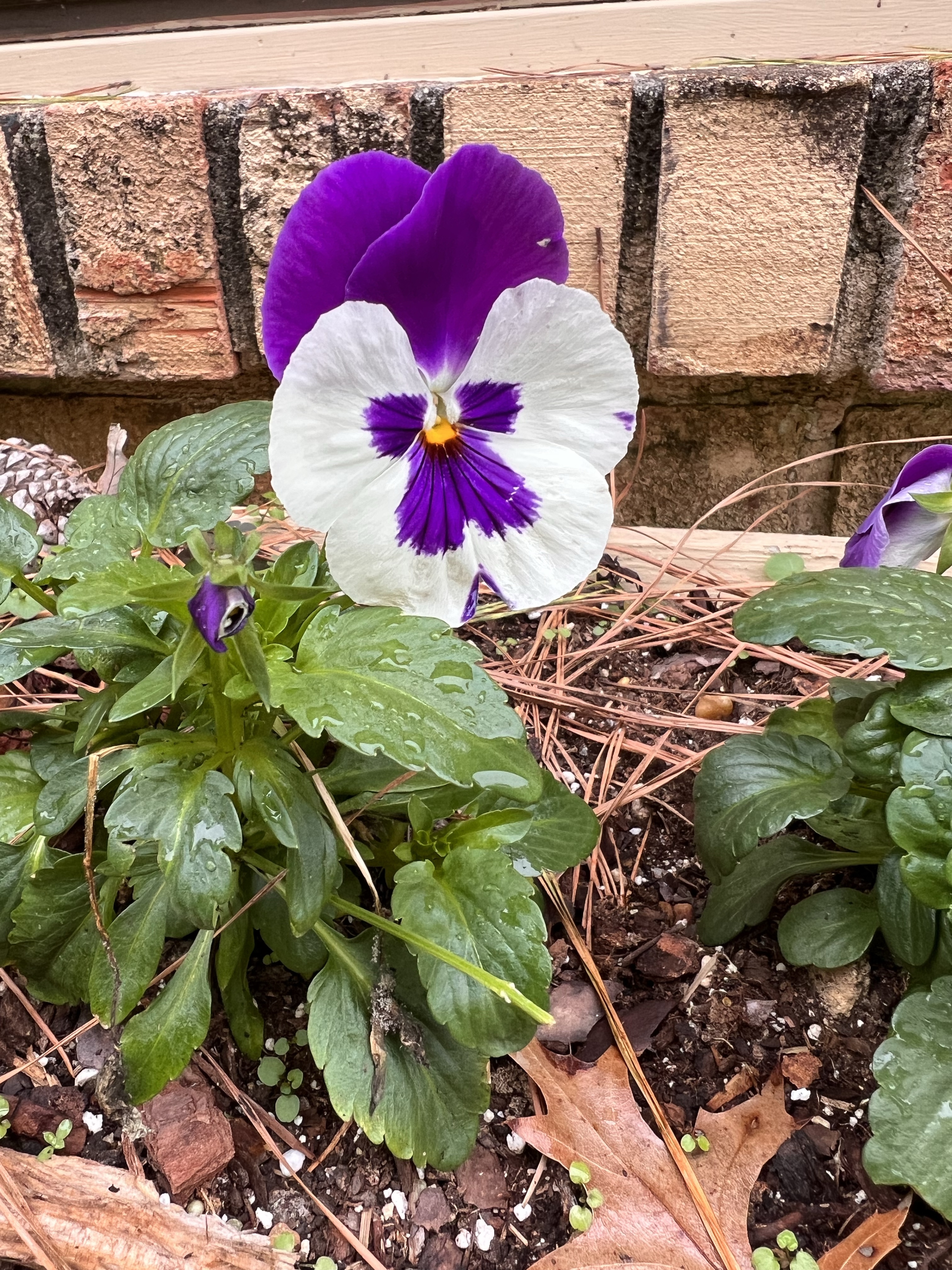 Five for Friday 6 January 2023