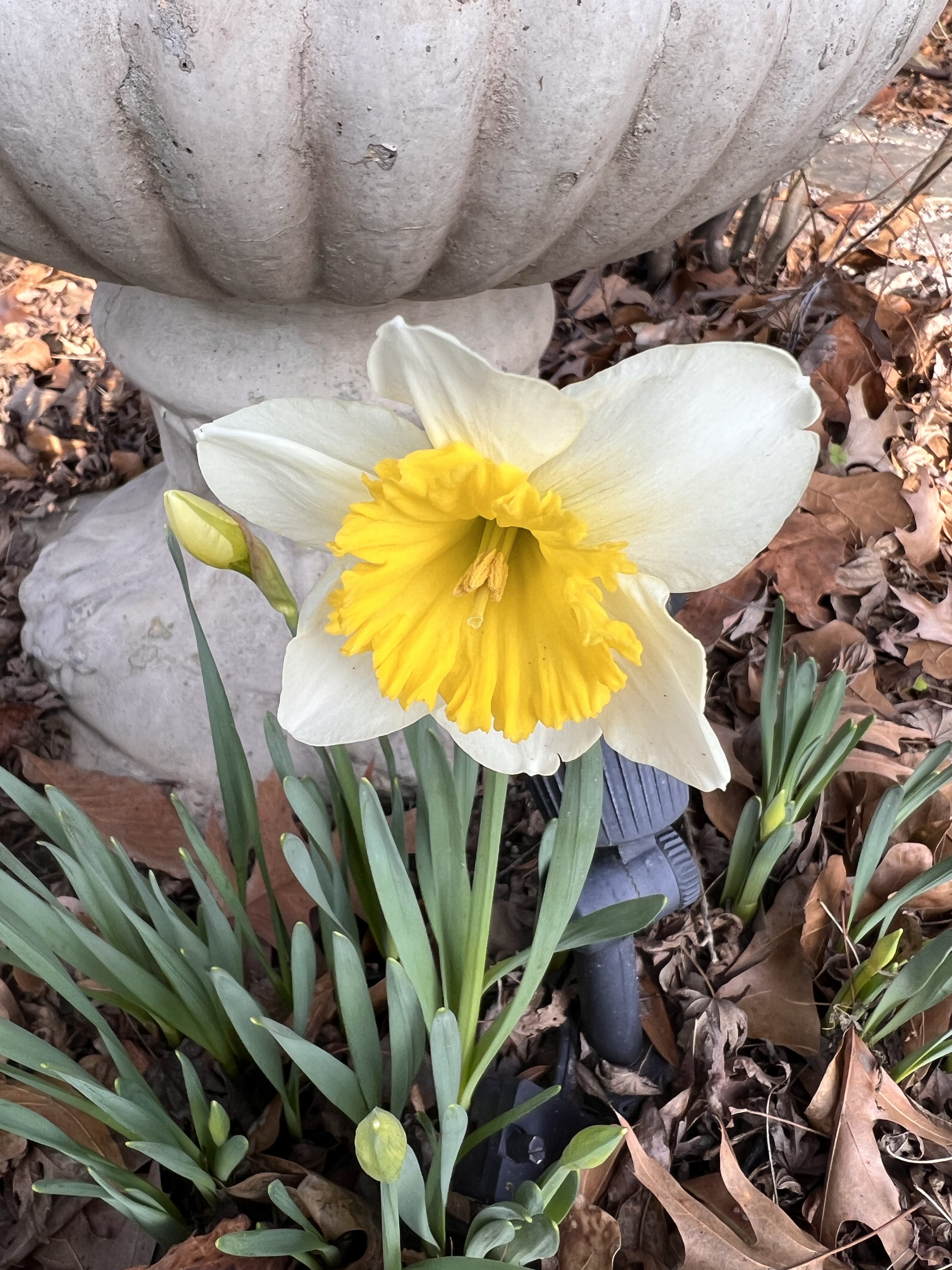 Five for Friday 20 Jan 2023