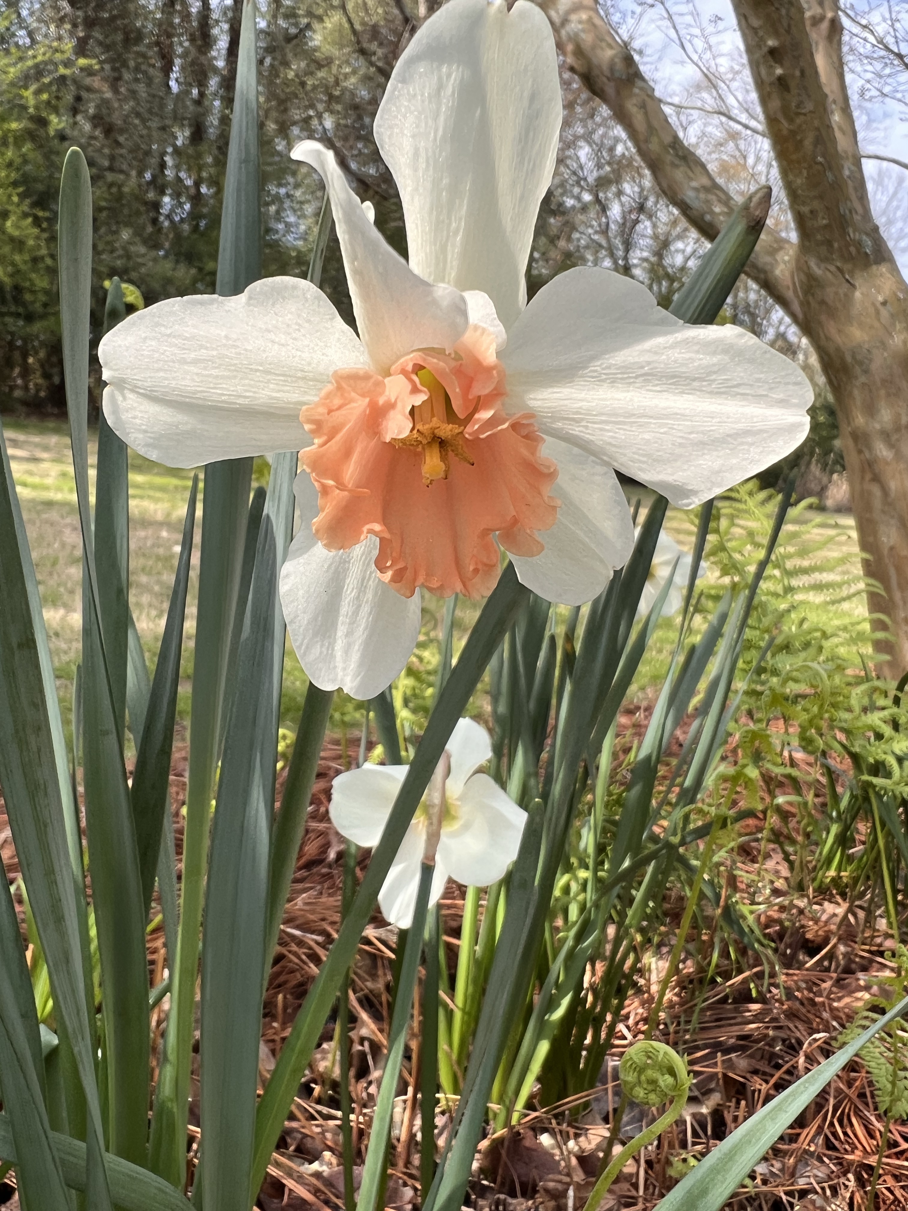 Its Finally Spring 24 March 2023