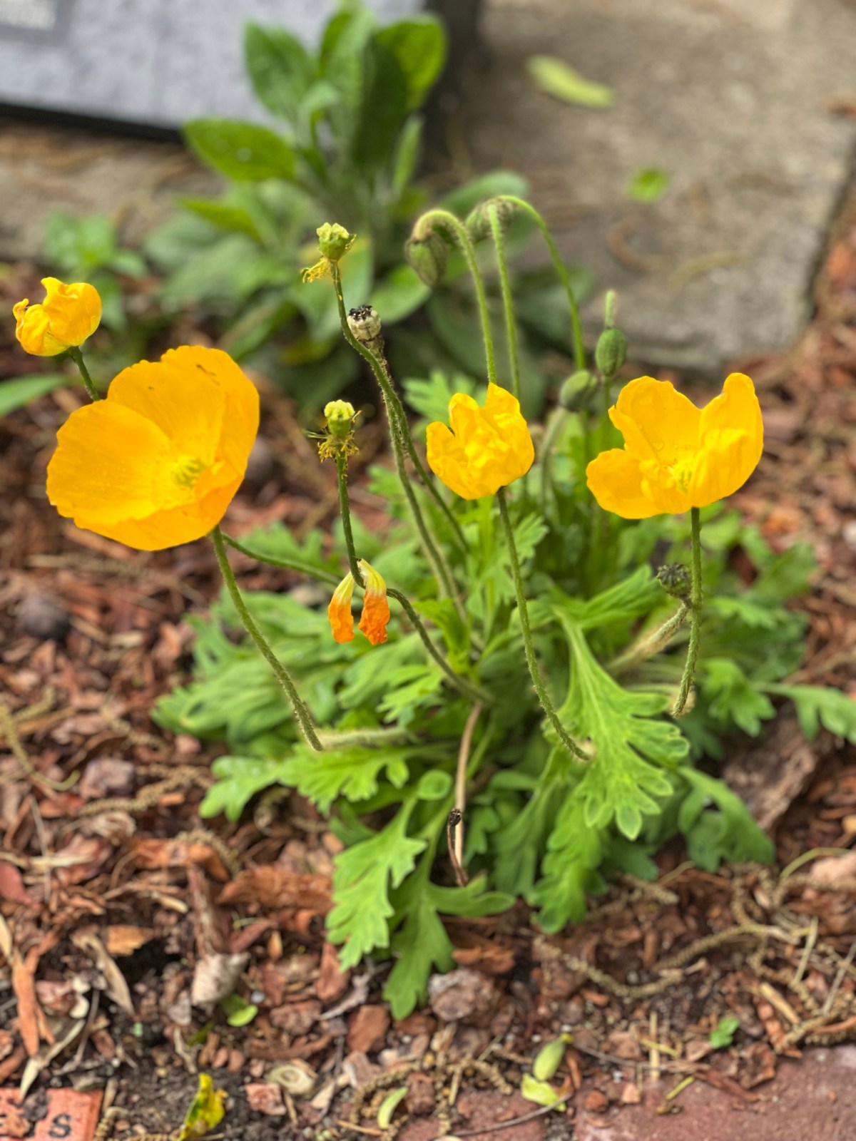 It feels like summer 19 May&nbsp;2023