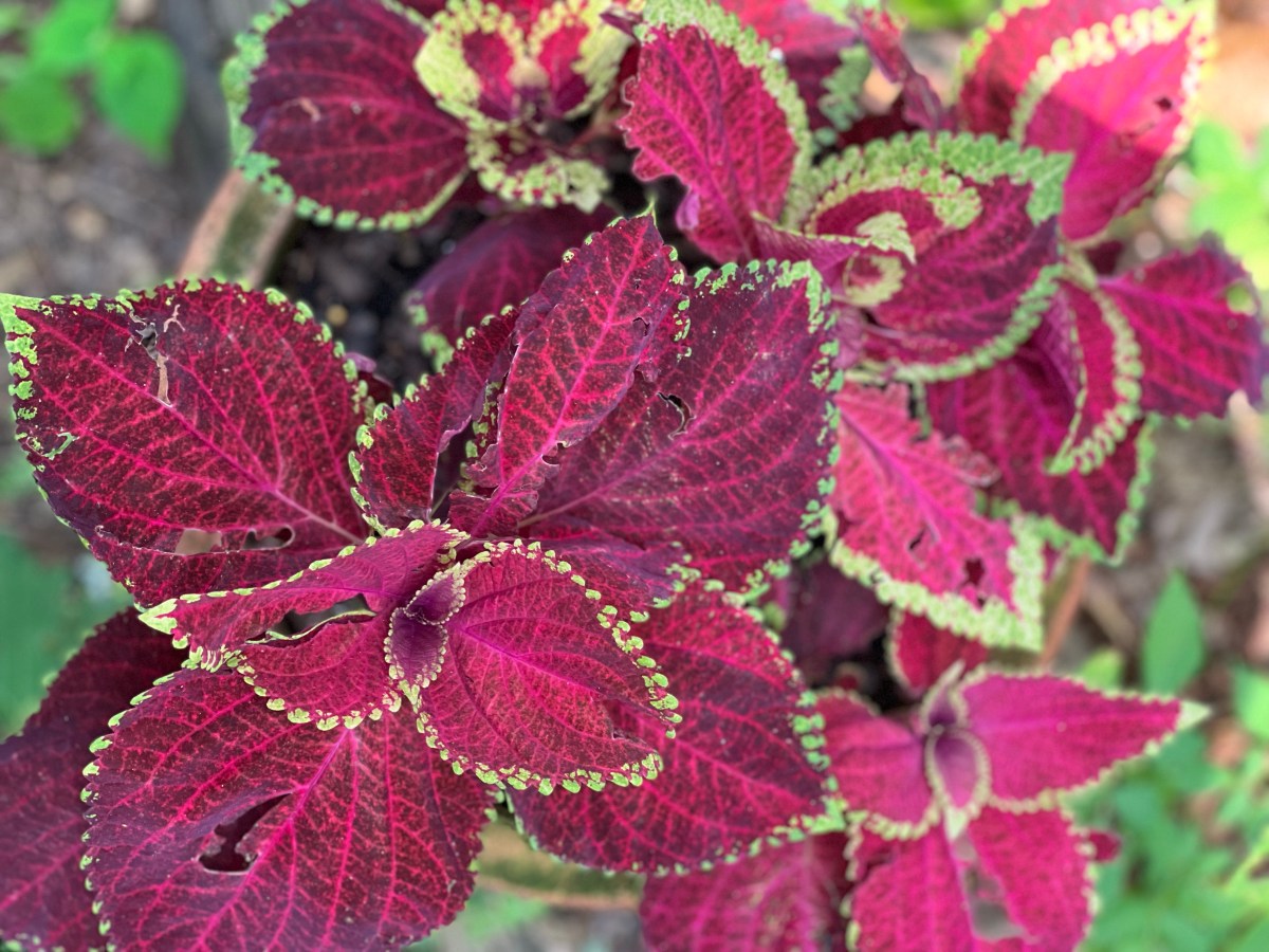 Summer 30 June&nbsp;2023