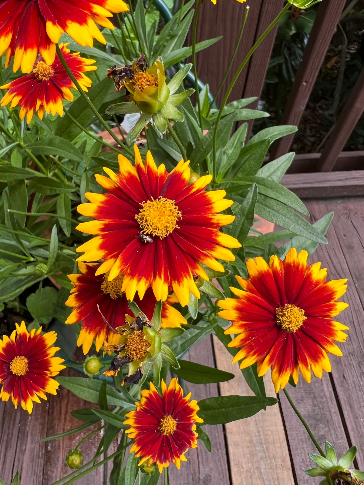 Summer 7 July&nbsp;2023