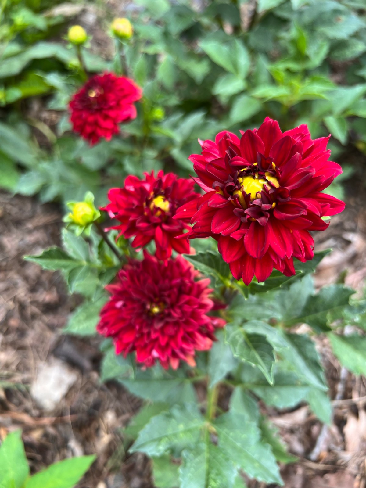 Summer 14 July&nbsp;2023