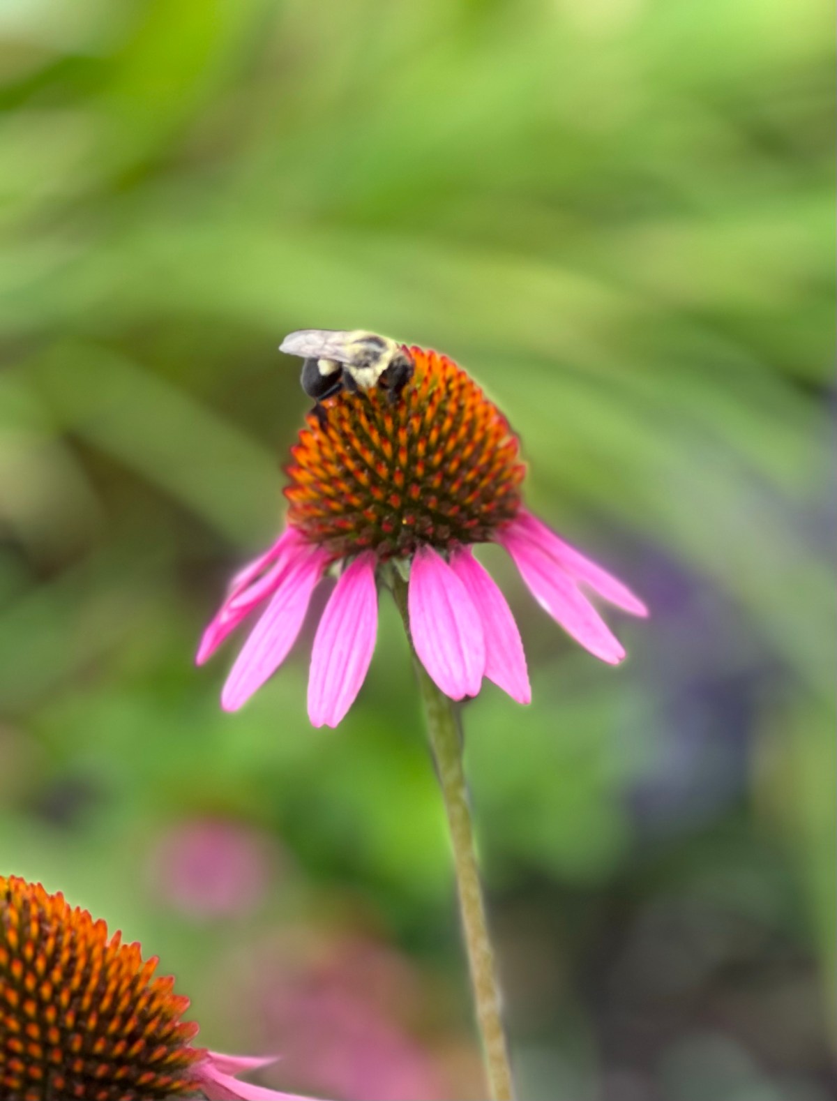 Hot Summer Days 21 July&nbsp;2023