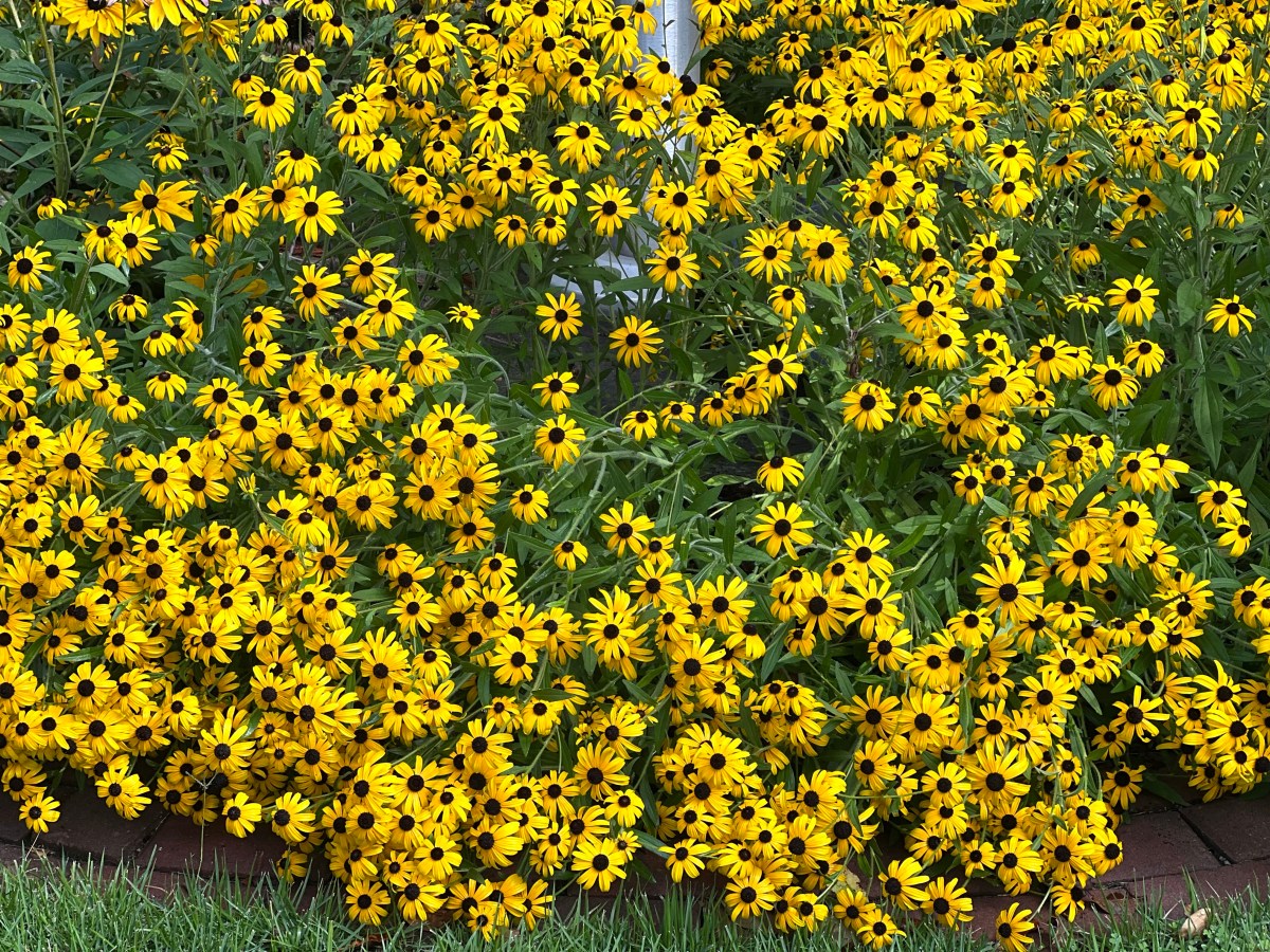 Fall Approaches 11 August&nbsp;2023