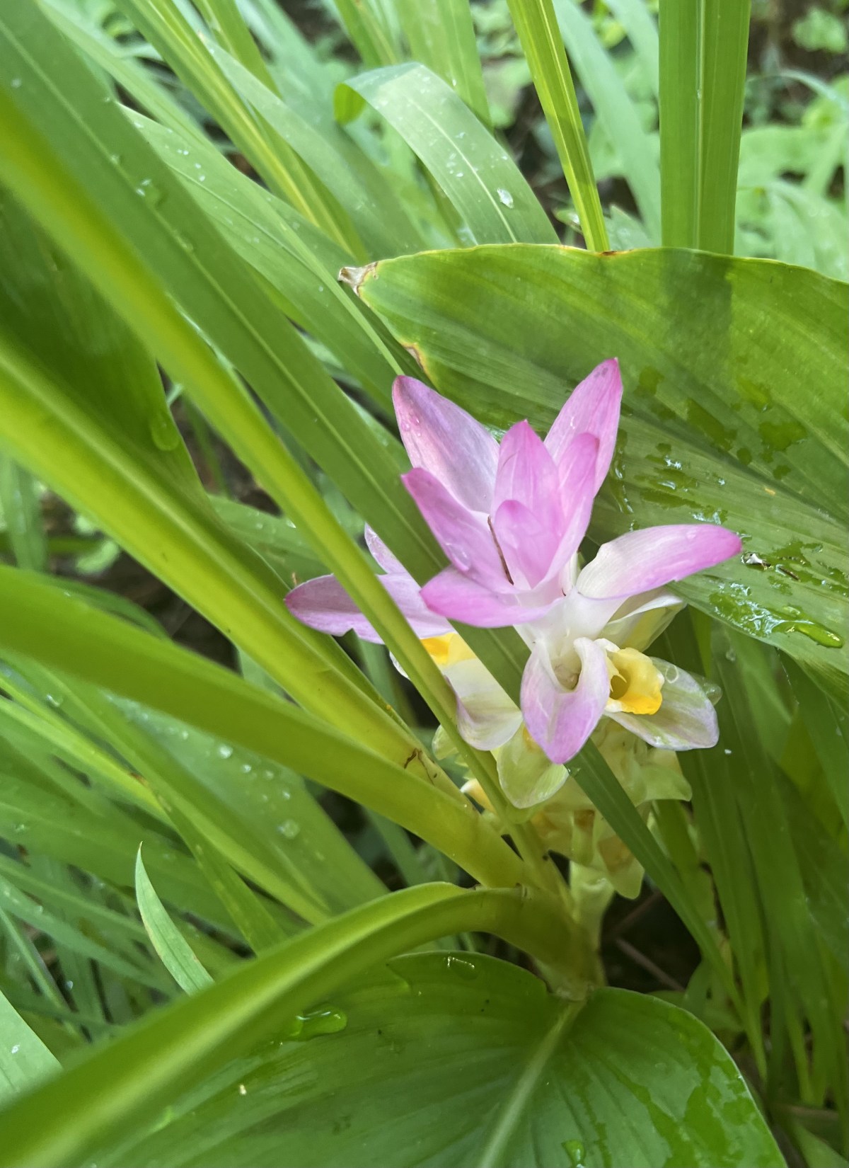Fall Approaches 19 August&nbsp;2023
