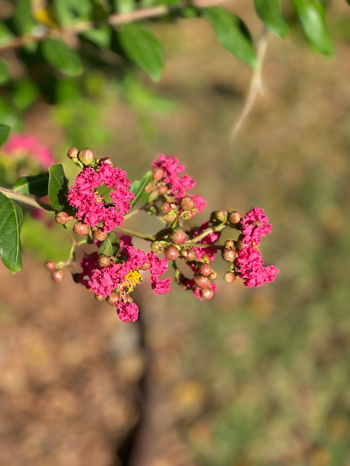 Its Labor Day&nbsp;Weekend