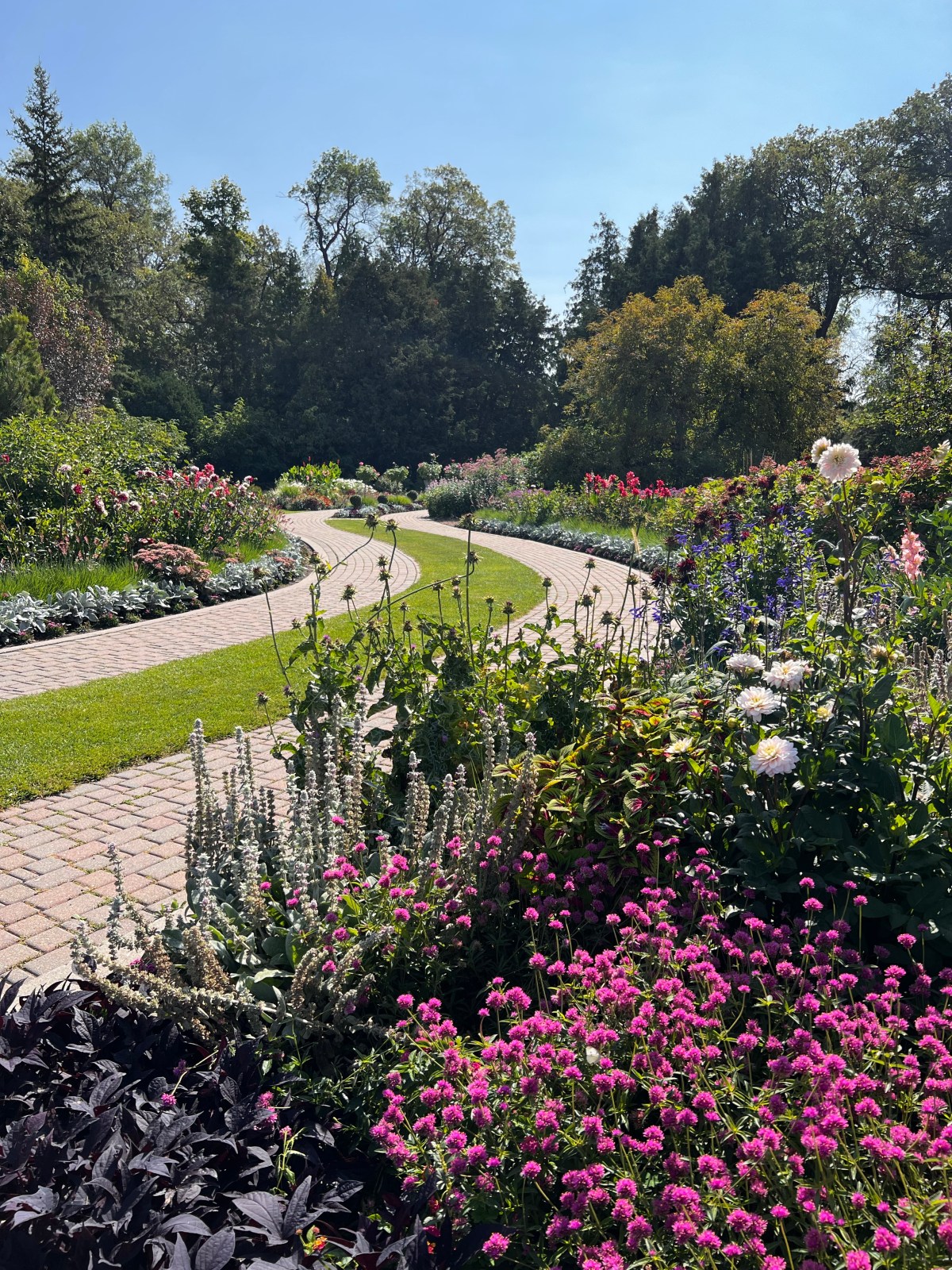 English Garden 8 September&nbsp;2023