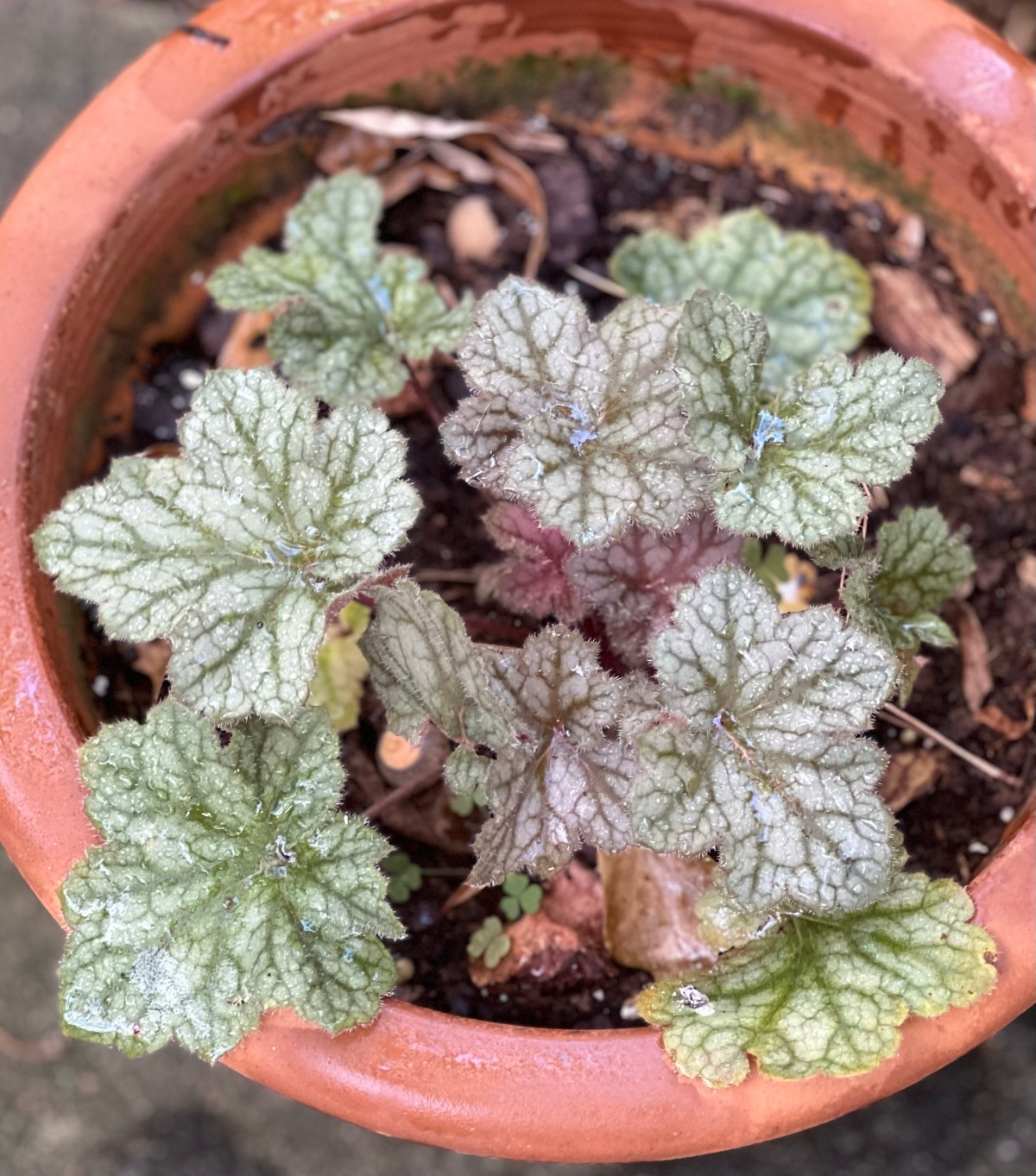 Fall 13 October&nbsp;2023