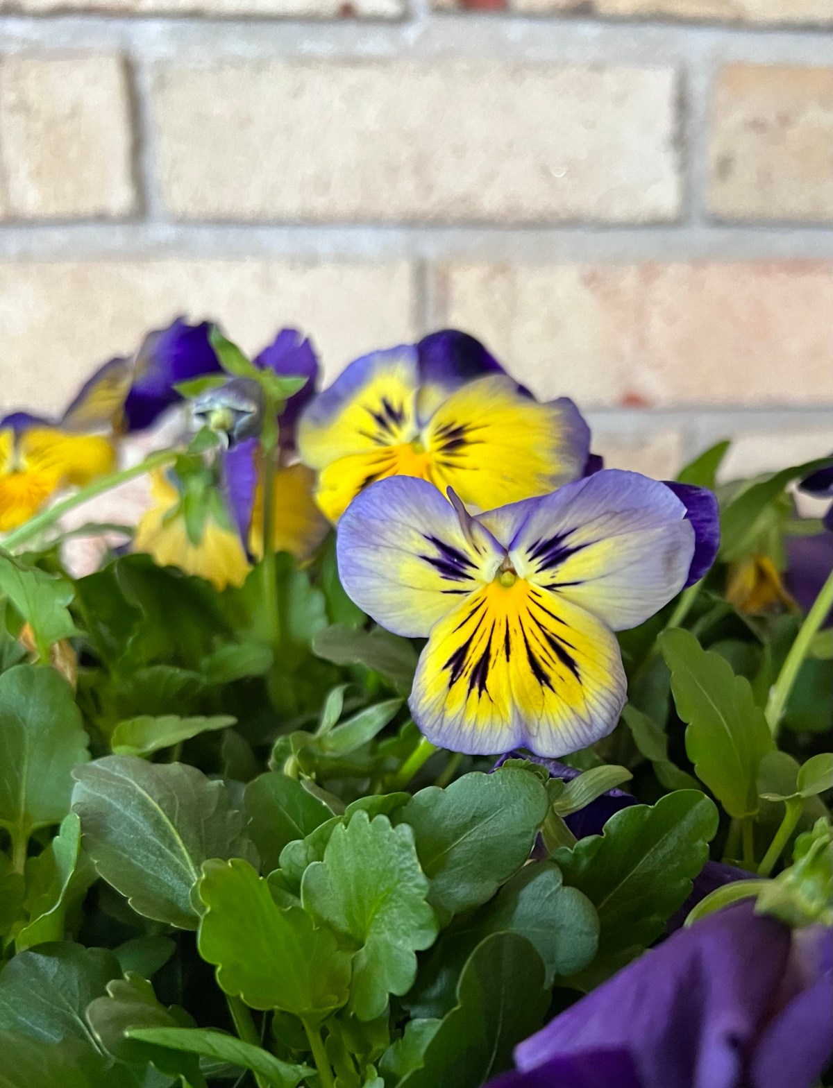 Winter is Approaching 1 Dec&nbsp;2023