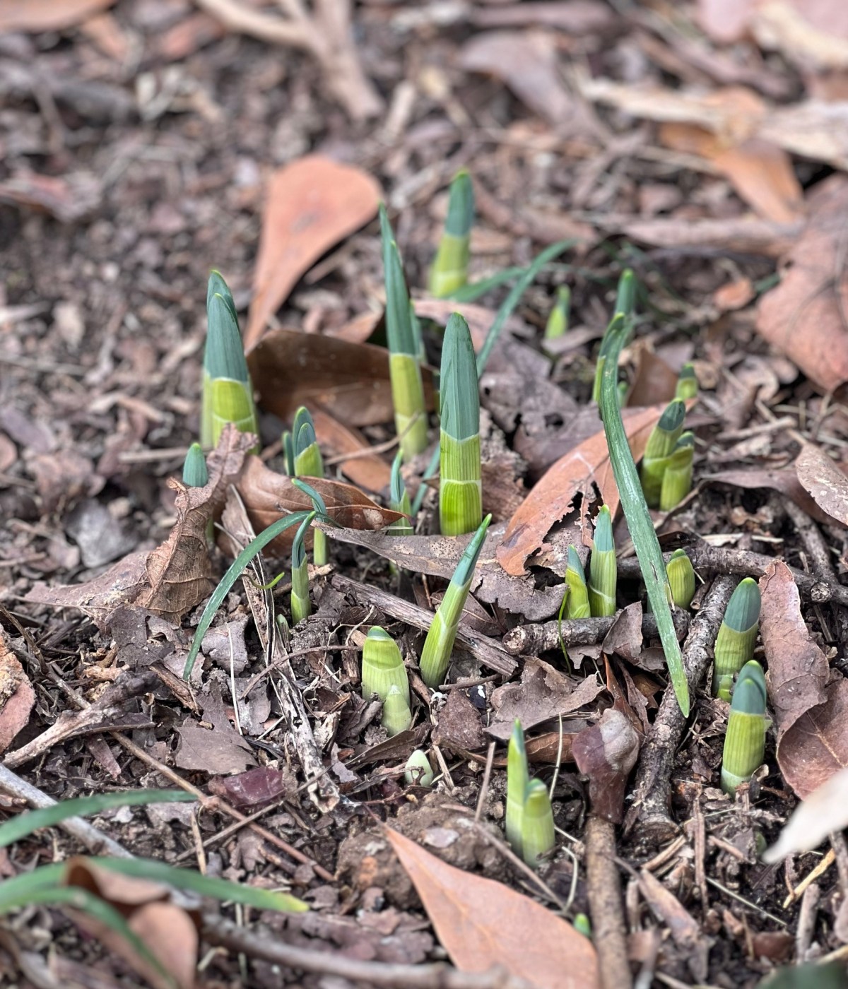 Winter 5 January&nbsp;2024