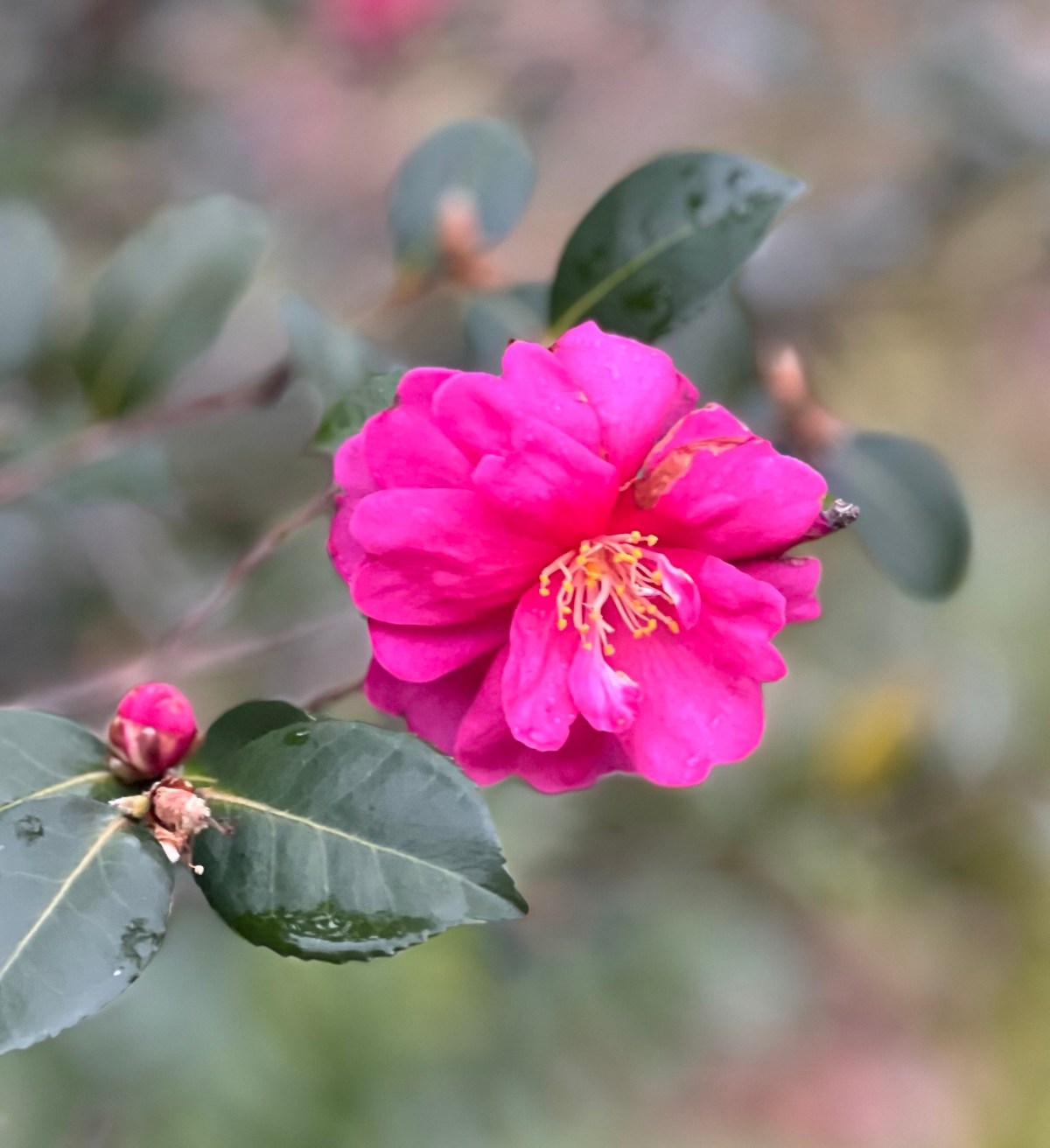 Winter 19 Jan&nbsp;2024