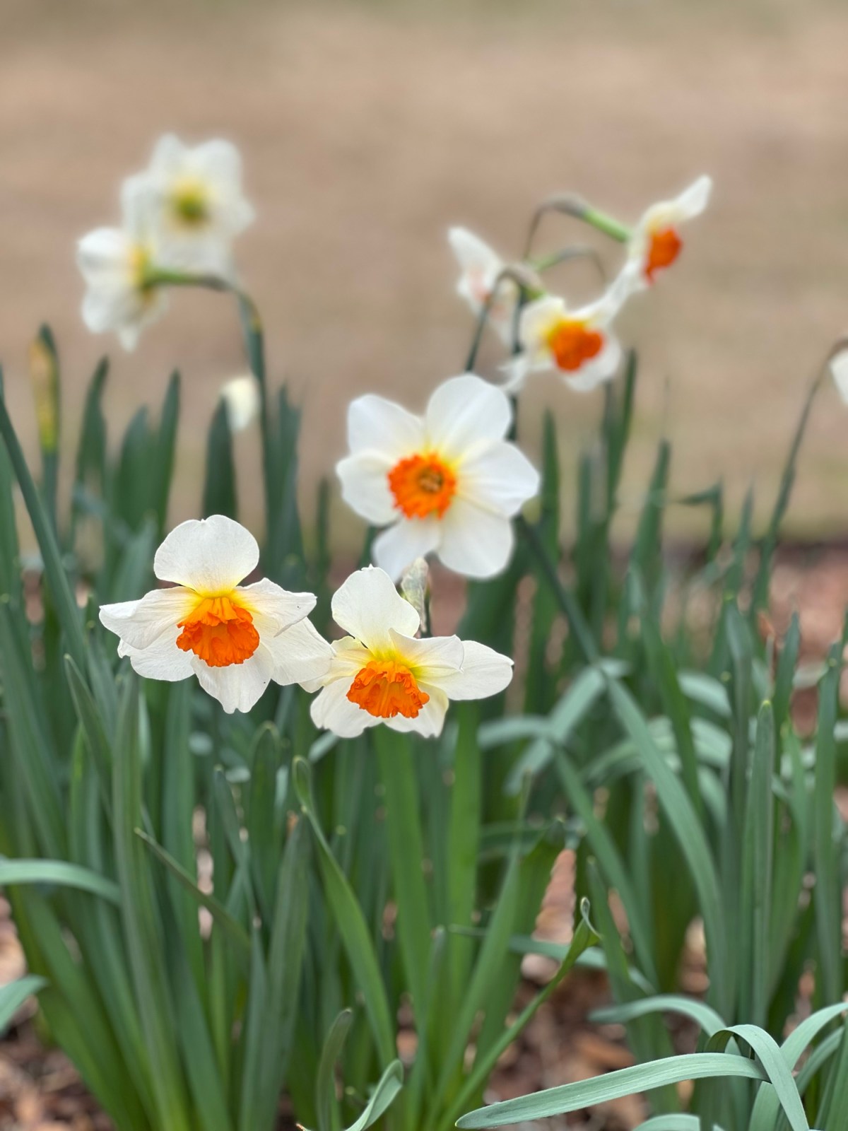 Spring is so&nbsp;close