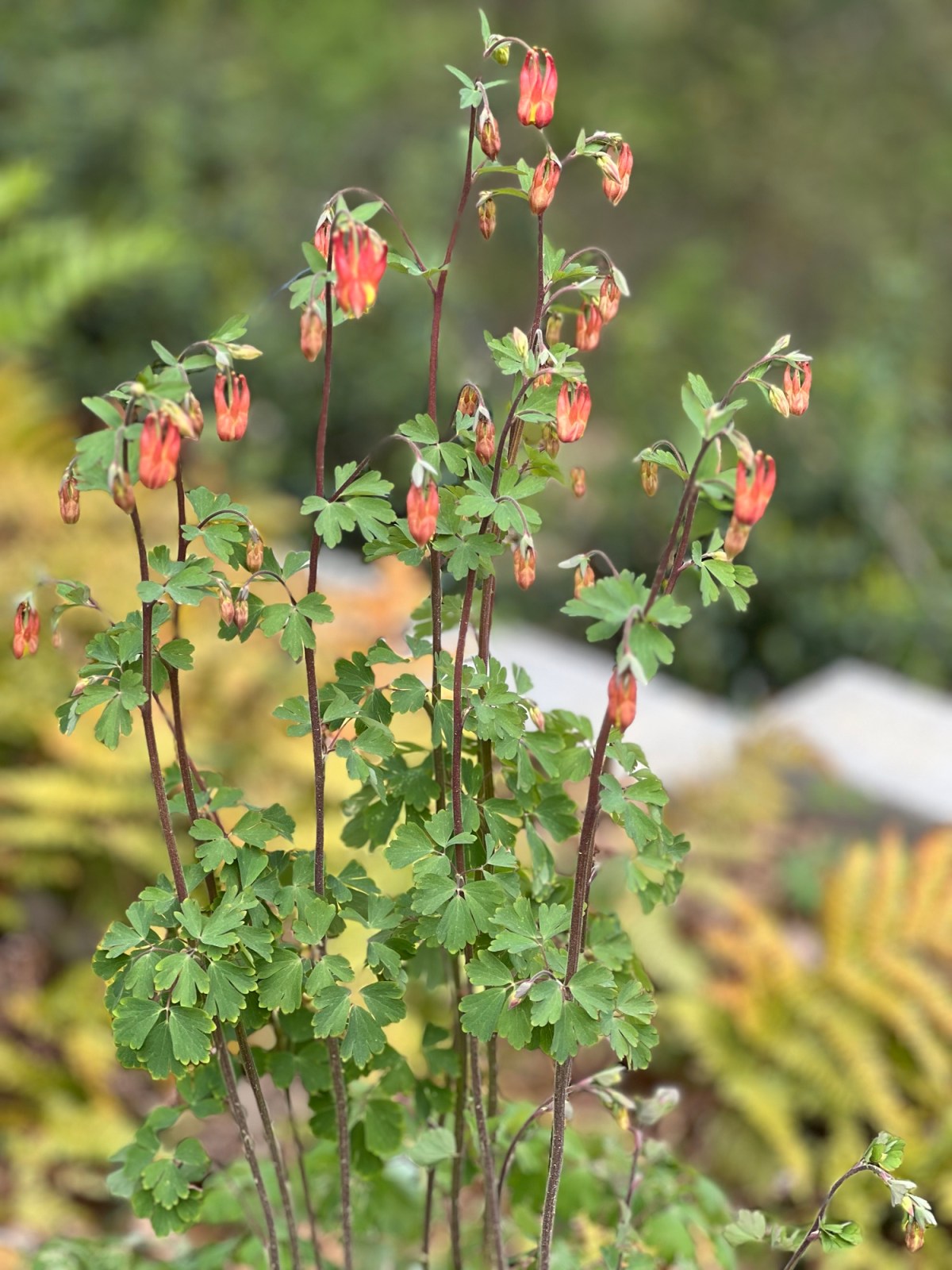 Spring!  At last! 22 Mar&nbsp;2024