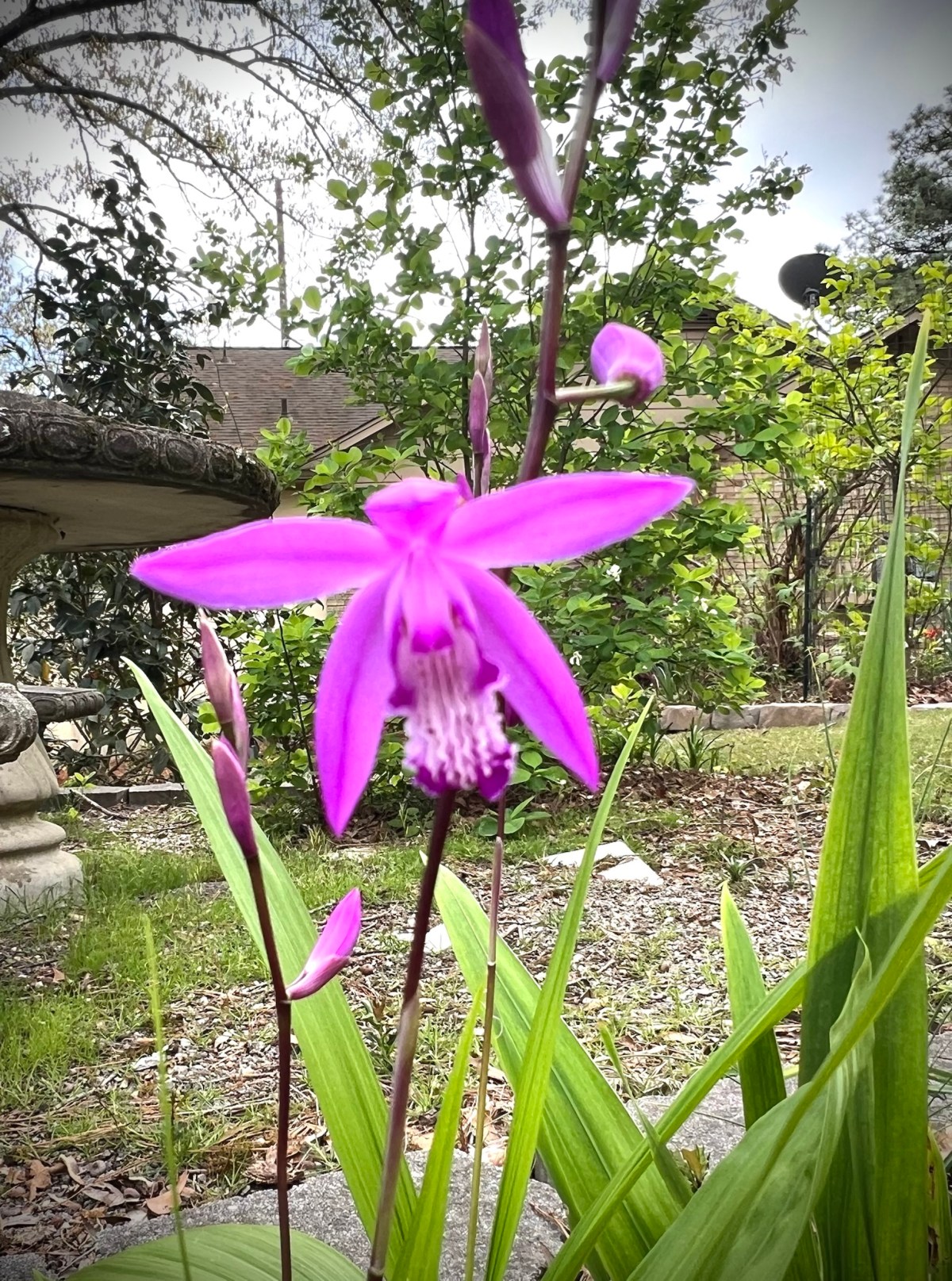 Spring Marches On 29 March&nbsp;2024