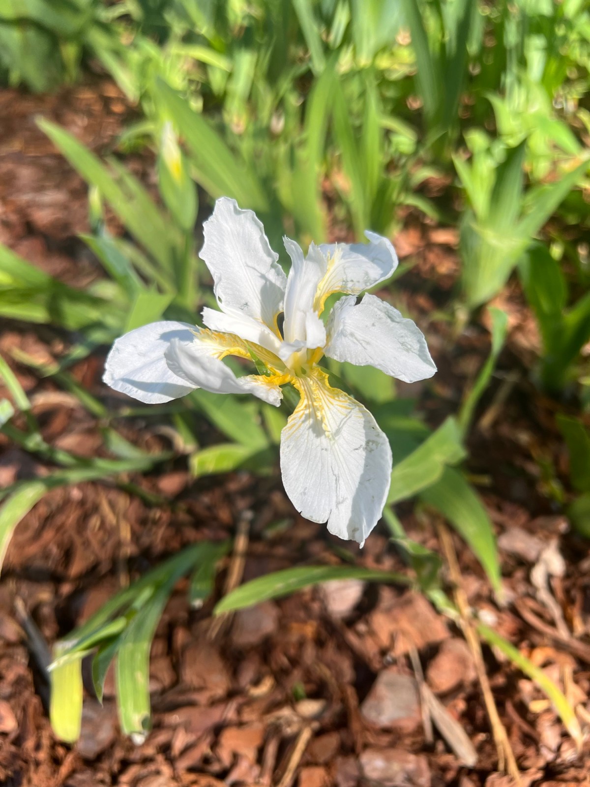 And now its April! 5 April&nbsp;2024