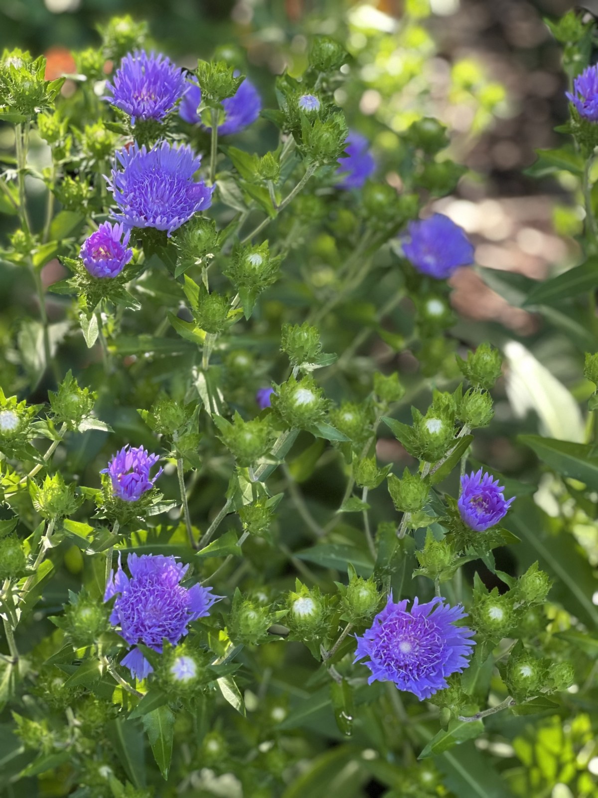 Father’s Day 16 June&nbsp;2024