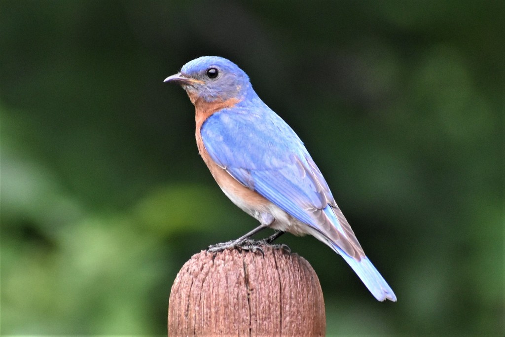 Late Winter 20 Feb&nbsp;2026